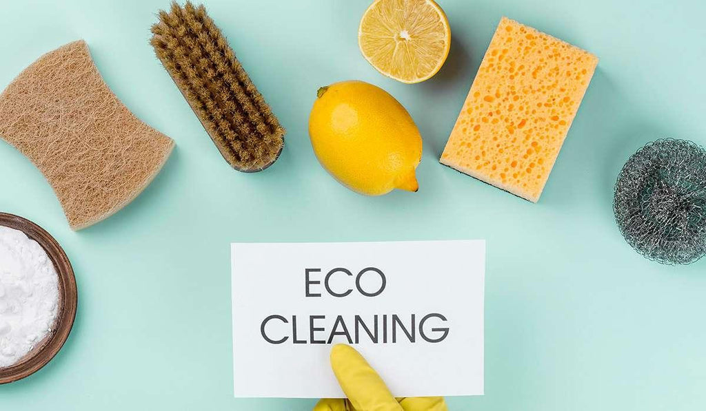 The Future of Cleaning: How Plant-Based and Bio-Enzyme Products are Leading the Way