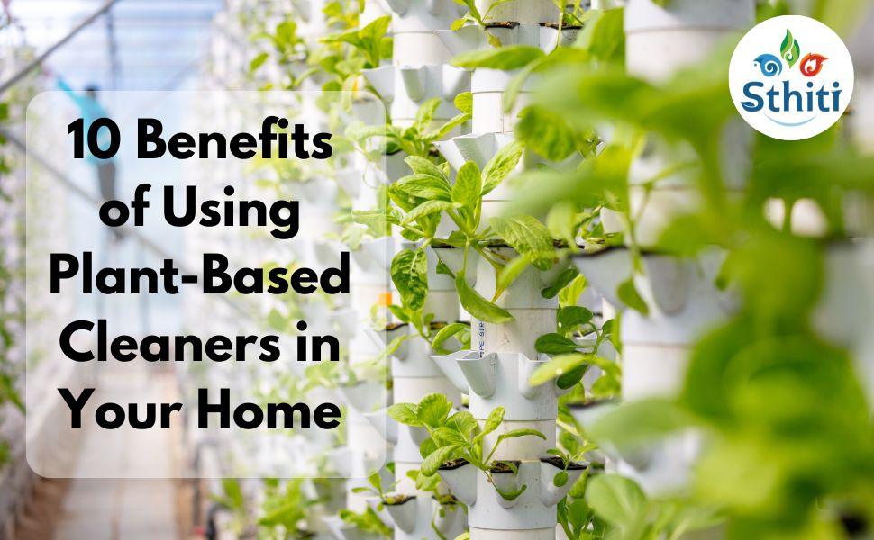 10 Benefits of Using Plant-Based Cleaners in Your Home